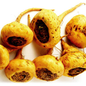 Maca