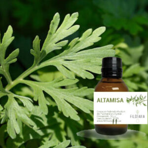 ALTAMISA