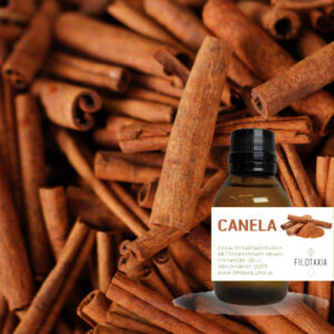 CANELA