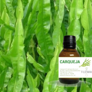 CARQUEJA