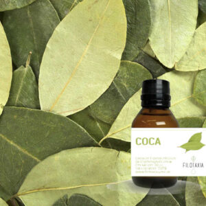 COCA