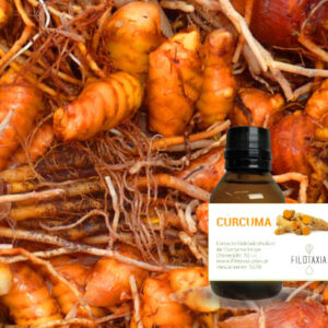 CÚRCUMA