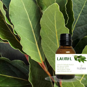 LAUREL