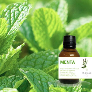 MENTA