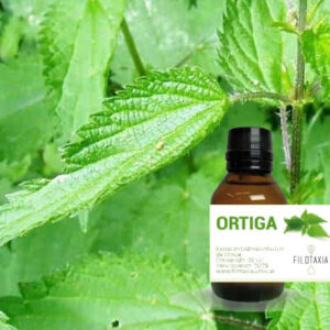 ORTIGA
