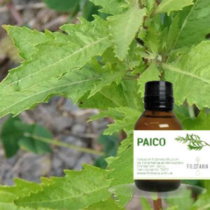PAICO